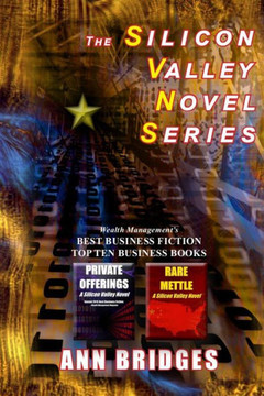The Silicon Valley Novel Series