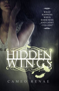 Hidden Wings (Hidden Wings Series Book One)