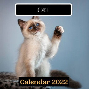cat calendar 2022