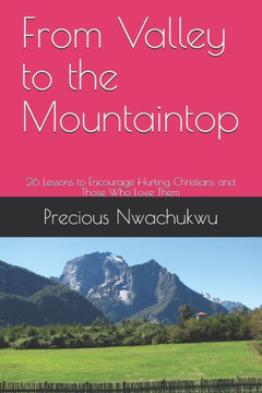 From Valley to the Mountaintop: 26 Lessons to Encourage Hurting Christians and Those Who Love Them