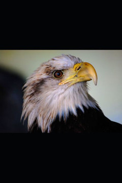 National Security National Security