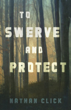 To Swerve and Protect