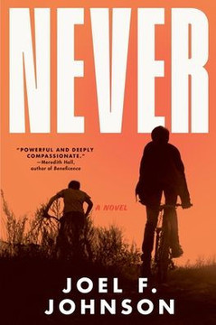 Never: A Novel