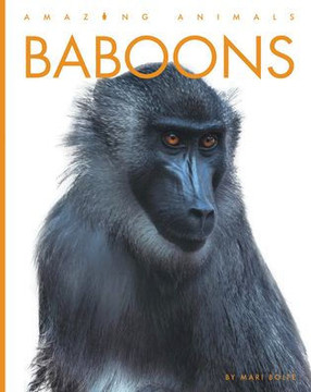 Baboons