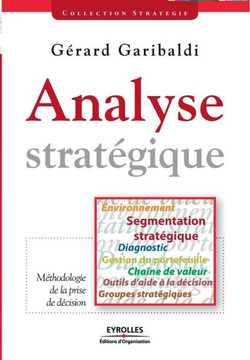 Analyse strat?gique: Environnement, segmentation strat?gique, diagnostic, gestion du portefeuille, cha?ne de valeur, outils d'aide ? la d?c