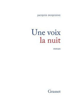 Une voix la nuit