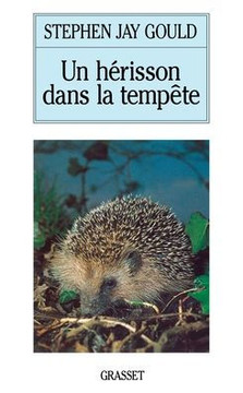 Un Herisson Dans La Tempete