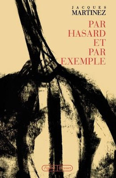 Par hasard et par exemple
