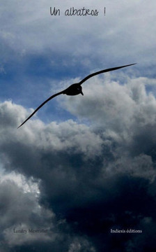 Un albatros !