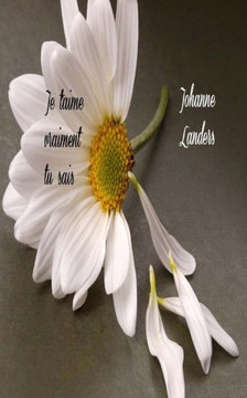 Je t'aime vraiment tu sais