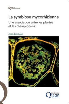 La symbiose mycorhizienne: Une association entre les plantes et les champignons.