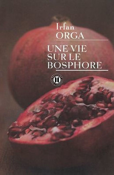 Une vie sur le Bosphore