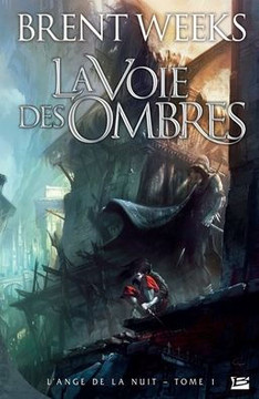 L'Ange de la Nuit T01 La Voie des ombres L'Ange de la Nuit T01 La Voie des ombres