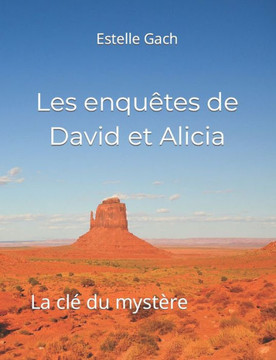 Les enqu?tes de David et Alicia: La cl? du myst?re