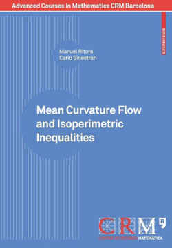 Mean Curvature Flow and Isoperimetric Inequalities