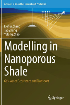 Modelling in Nanoporous Shale: Gas-Water Occurrence and Transport
