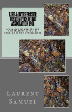 Lire & Interpreter Les Comptes D'Une Association 1901: L'Analyse Financiere Des Associations 1901 A La Portee Des Non-Specialistes (French Edition)