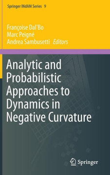 Analytic and Probabilistic Approaches to Dynamics in Negative Curvature Analytic and Probabilistic Approaches to Dynamics in Negative Curvature
