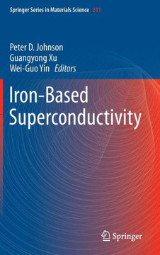 Iron-Based Superconductivity