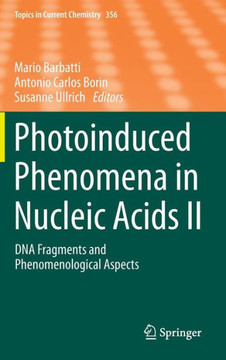 Photoinduced Phenomena in Nucleic Acids II: DNA Fragments and Phenomenological Aspects