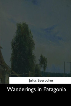 Wanderings In Patagonia