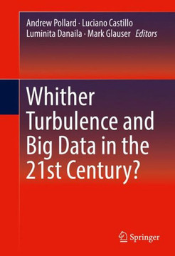 Whither Turbulence and Big Data in the 21st Century? Whither Turbulence and Big Data in the 21st Century?