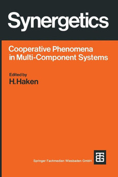 Synergetics