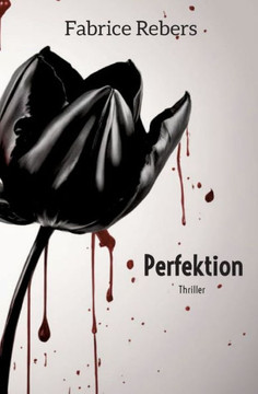 Perfektion