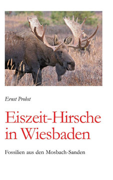 Eiszeit-Hirsche in Wiesbaden: Fossilien aus den Mosbach-Sanden