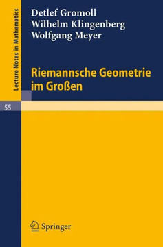 Riemannsche Geometrie Im Gro?en