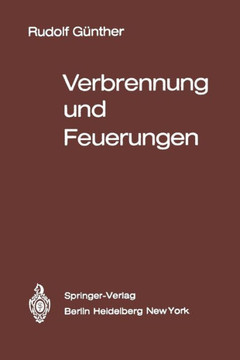Verbrennung Und Feuerungen