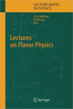 Lectures on Flavor Physics