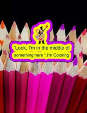 Look, I'M In The Middle Of Something Here ,I'M Coloring: An Adult Coloring Book Look, I'M In The Middle Of Something Here ,I'M Coloring: An Adult Coloring Book
