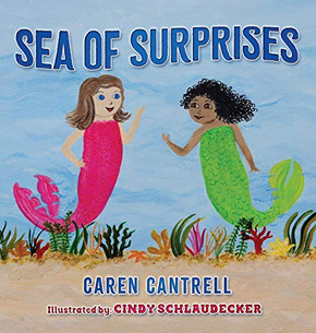 Sea of Surprises - 9781950943067