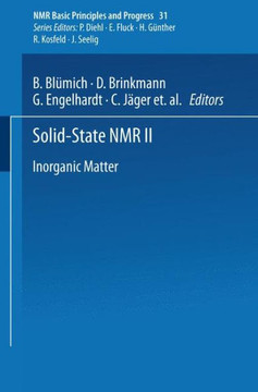 Solid-State NMR II: Inorganic Matter