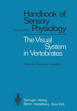The Visual System in Vertebrates