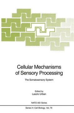 Cellular Mechanisms of Sensory Processing: The Somatosensory System