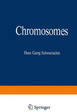 Chromosomes: In Mitosis and Interphase