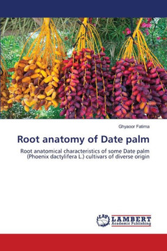 Root anatomy of Date palm