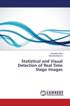 Statistical and Visual Detection of Real Time Stego Images