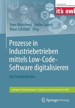Prozesse in Industriebetrieben Mittels Low-Code-Software Digitalisieren: Ein Praxisleitfaden
