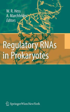 Regulatory RNAs in Prokaryotes