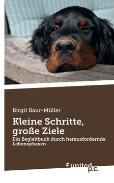 Kleine Schritte, gro?e Ziele: Ein Begleitbuch durch herausfordernde Lebensphasen