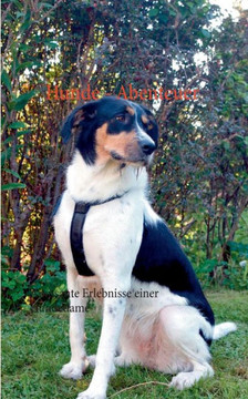Hunde - Abenteuer: Am?sante Erlebnisse einer Hundedame