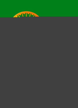 Corporate Sustainability in India: A Practical Guide for Multinationals Corporate Sustainability in India: A Practical Guide for Multinationals