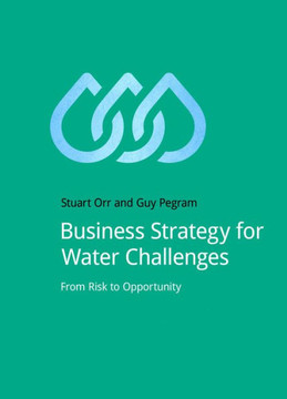 Business Strategy for Water Challenges: From Risk to Opportunity