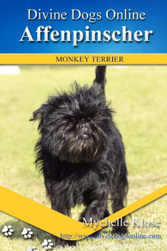 Affenpinscher (Divine Dogs Online)
