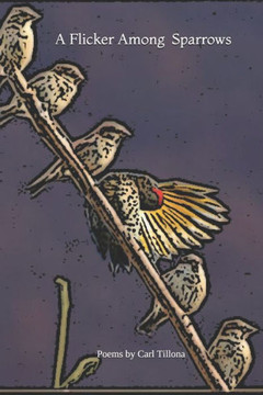 A Flicker Among Sparrows