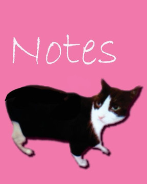 Cat Notes Cat Notes