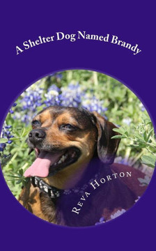 A Shelter Dog Named Brandy